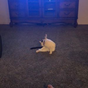 Meet your Posher, Kevin